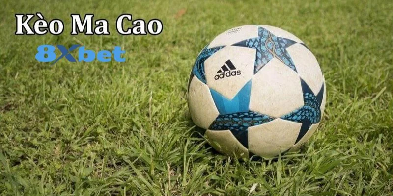 Tỷ lệ kèo - Bí quyết dự đoán chính xác và nâng cao chiến thắng trong đặt cược thể thao